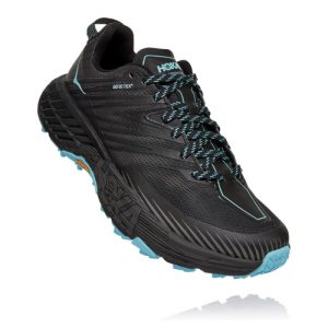 HOKA ONE ONE SPEEDGOAT 4 GTX Women